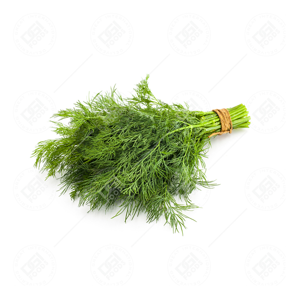  Dill Ground