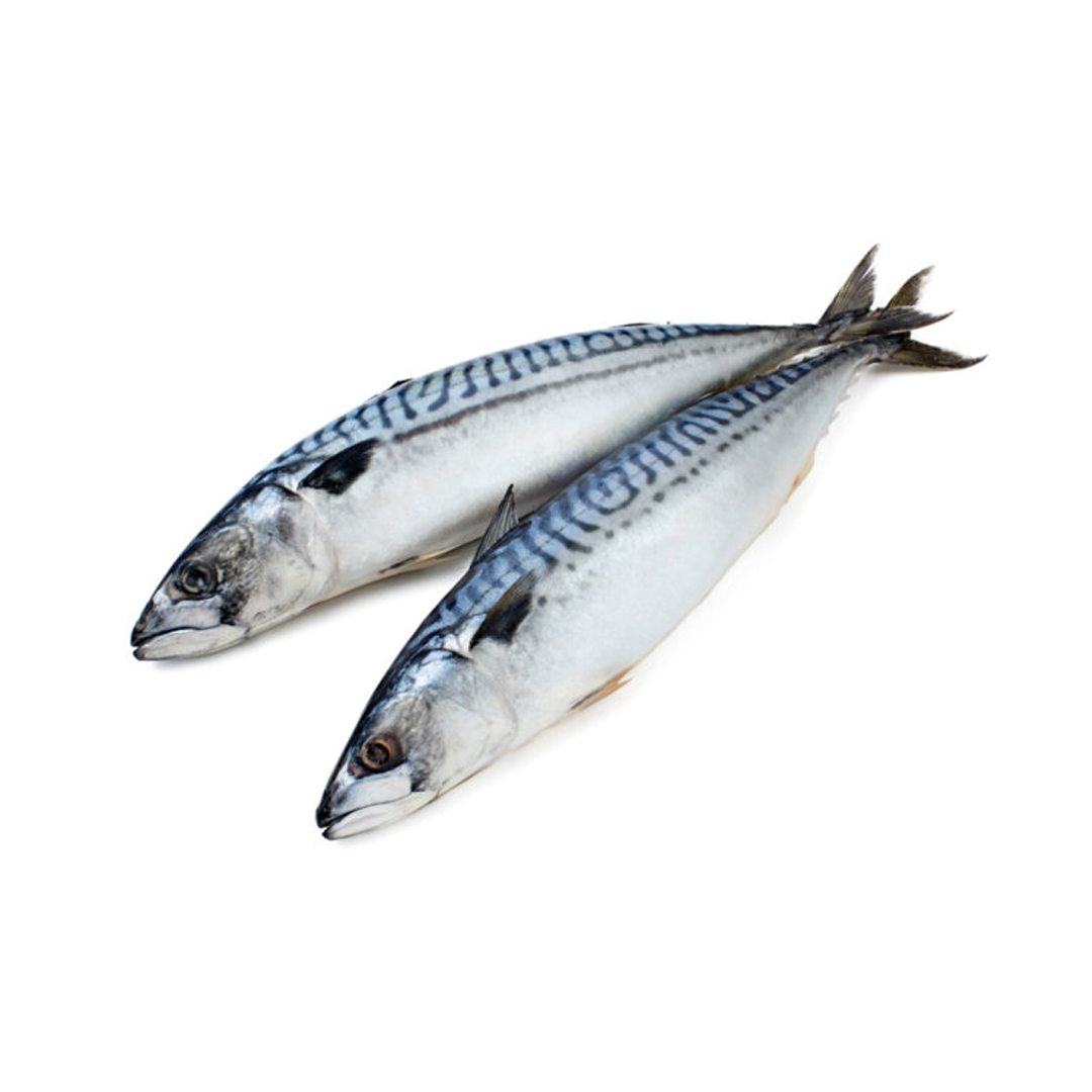 Pelagia Mackerel 1kg 